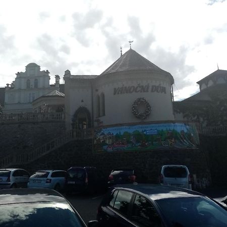 Vila Anton Karlovy Vary Luaran gambar